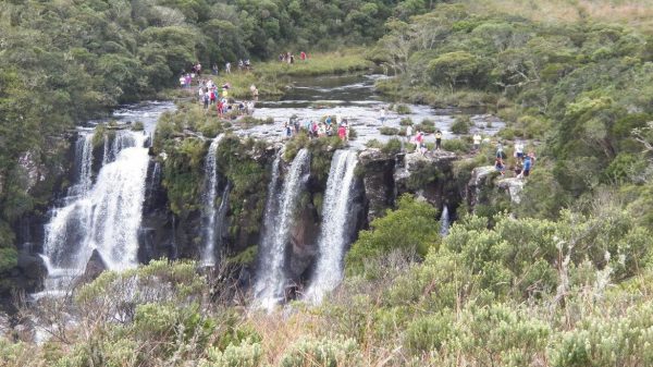 mma-leiloa-parques-nacionais-em-santa-catarina-e-rio-grande-do-sul