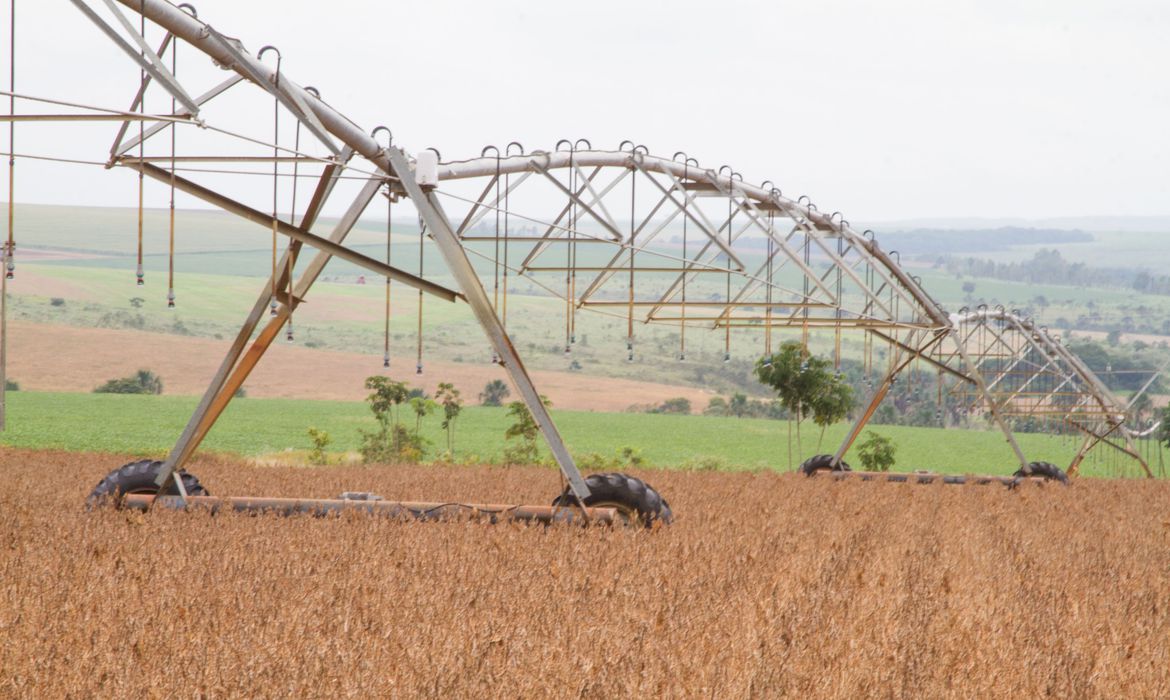 balanca-comercial-do-agronegocio-soma-us$-100,81-bilhoes-em-2020