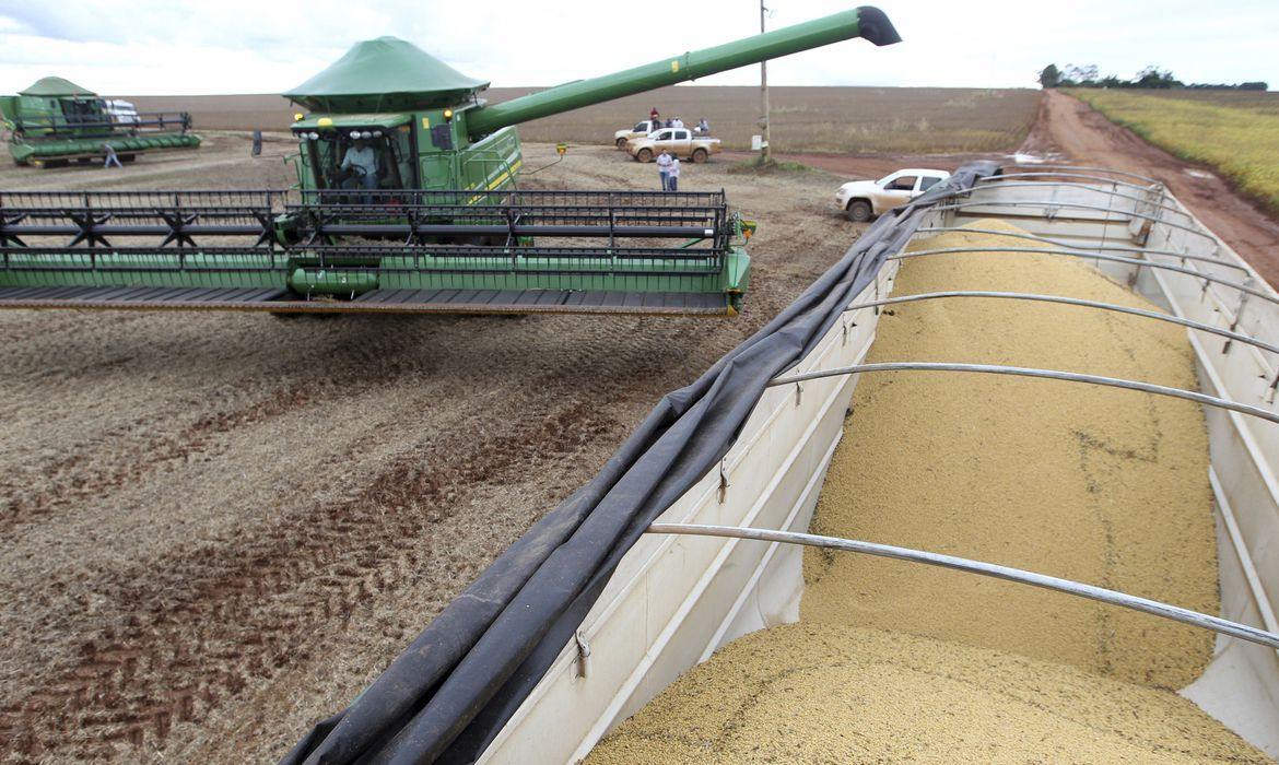 conab-estima-colheita-de-264,8-milhoes-de-toneladas-de-graos