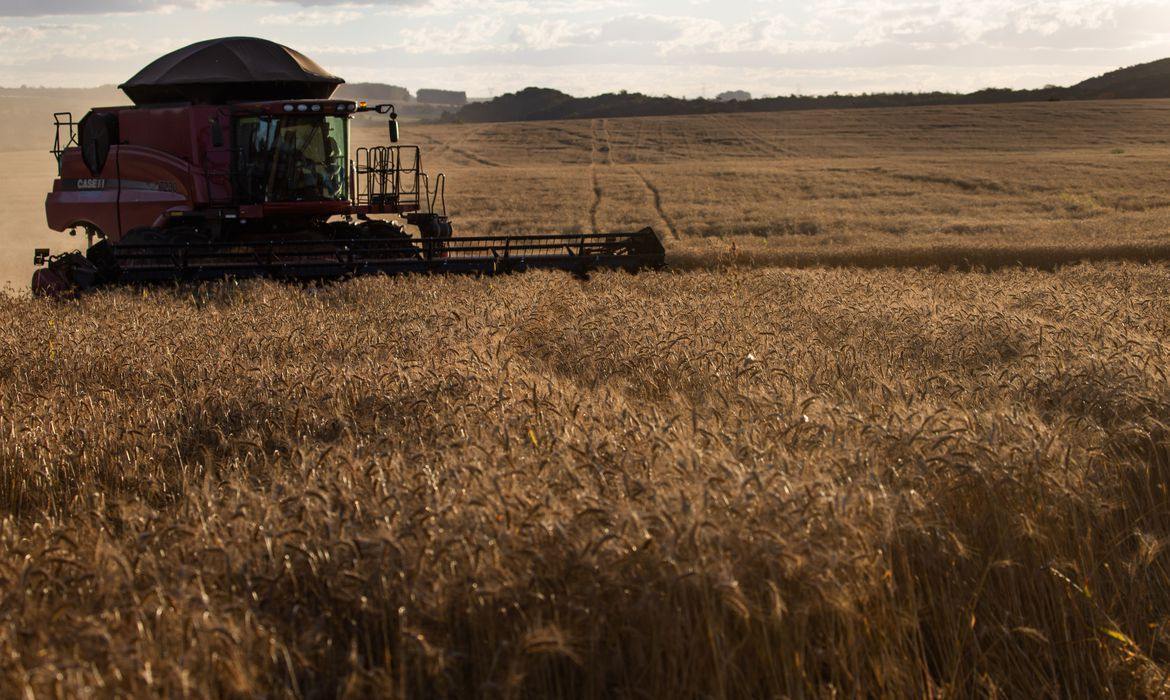 credito-rural-sobe-18%-em-relacao-ao-ultimo-semestre-de-2019