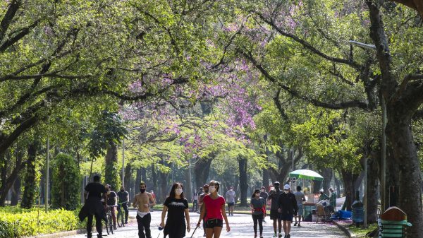 brasil-registra-34,1-mil-casos-de-covid-19-em-24-horas