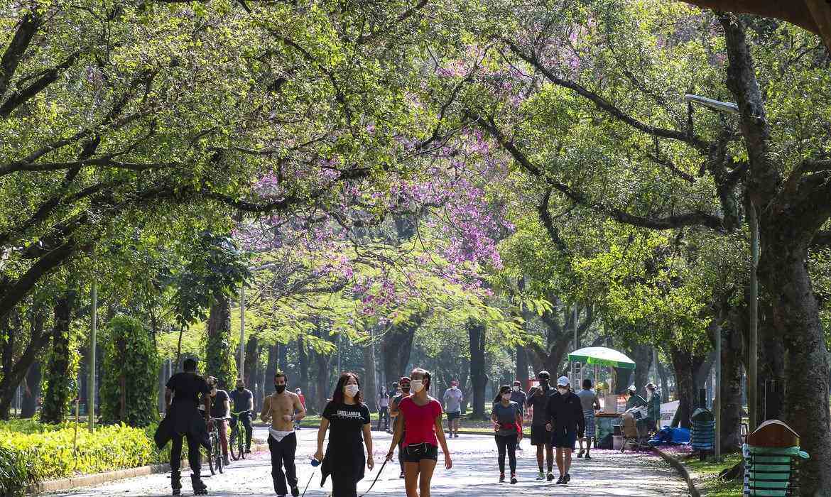 brasil-registra-34,1-mil-casos-de-covid-19-em-24-horas