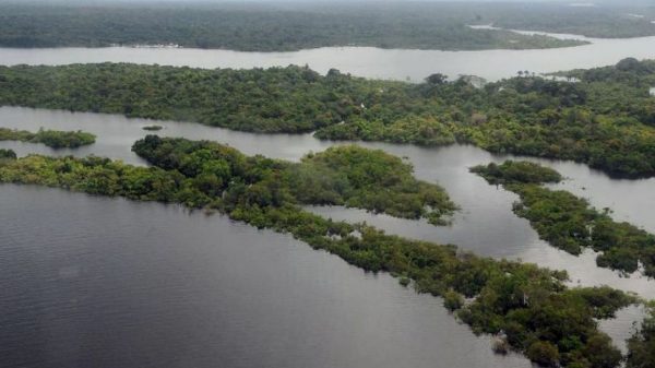 Terremoto na Amazônia neste domingo (Valter Campanato/Agência Brasil)