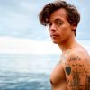 Harry Styles: sucesso absoluto e recorde à vista (Divulgação)