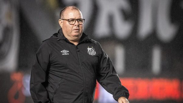 Técnico do Santos lamentou a queda