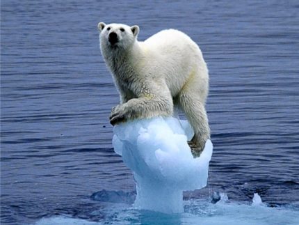 O aquecimento global gera eventos extremos, causados pela ação do homem, em todo planeta (Foto: Google Images)