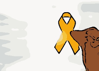 Setembro Amarelo: campanha nacional visa alertar para o cuidado com a saúde mental