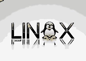 Emulador de Terminal: saiba mais sobre essa importante ferramenta para desenvolvedores no Linux