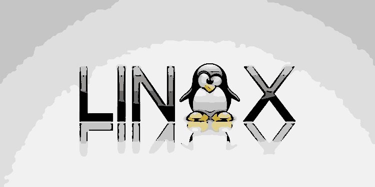 Emulador de Terminal: saiba mais sobre essa importante ferramenta para desenvolvedores no Linux