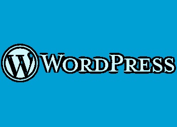 Wordpress.org e WP Engine entram em conflito e afetam imenso ecossistema dos seus produtos