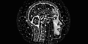 John Hopfield e Geoffrey Hinton ganharam o Prêmio Nobel de Física de 2024 por suas contribuições para redes neurais e deep learning