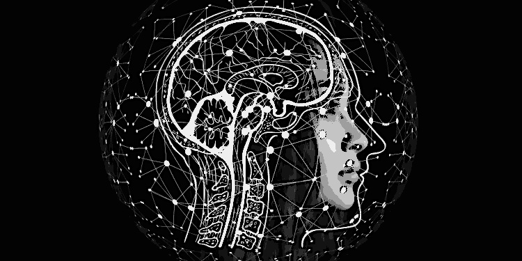 John Hopfield e Geoffrey Hinton ganharam o Prêmio Nobel de Física de 2024 por suas contribuições para redes neurais e deep learning