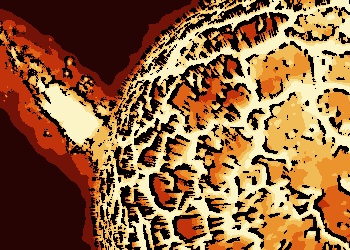 Tempestades solares atingem níveis severos e podem provocar apagões e outros problemas, alerta NASA