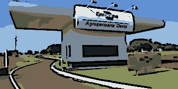 A Embrapa (Empresa Brasileira de Pesquisa Agropecuária) publicou edital com 1.027 vagas para diferentes níveis de escolaridade