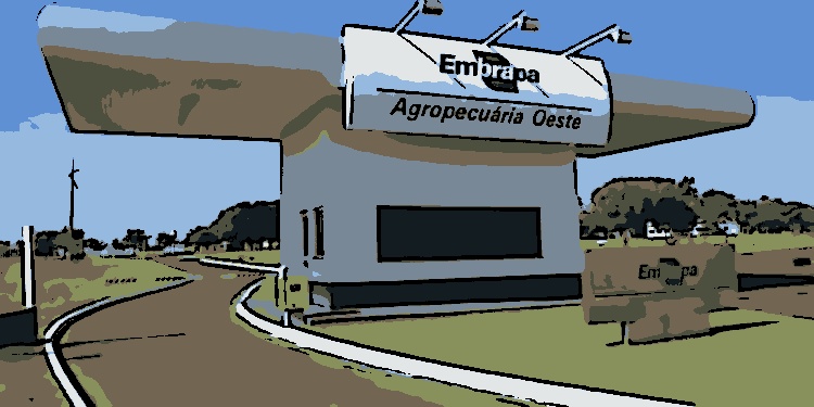 A Embrapa (Empresa Brasileira de Pesquisa Agropecuária) publicou edital com 1.027 vagas para diferentes níveis de escolaridade