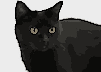 Assim como a sexta-feira 13, o gato preto também é visto como um símbolo de azar em algumas culturas