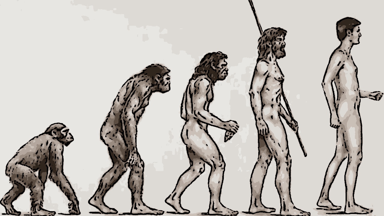 O cruzamento com os neandertais há 48 mil anos foi crucial para o sucesso dos Homo sapiens