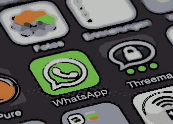 Chave Pix no WhatsApp: Agora pode ser adicionada diretamente ao perfil do usuário