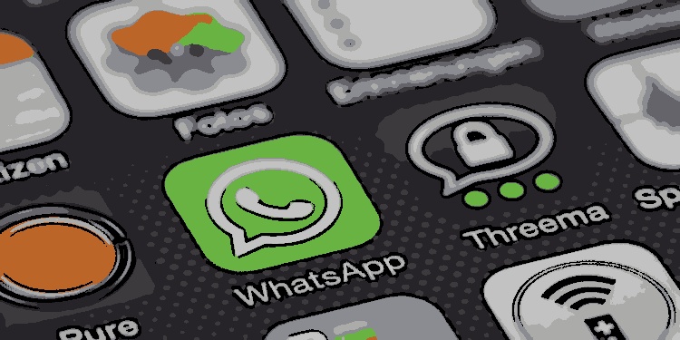 Chave Pix no WhatsApp: Agora pode ser adicionada diretamente ao perfil do usuário