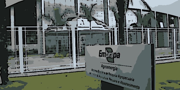 Cebraspe prorroga inscrições para o concurso da Embrapa até 14 de janeiro de 2025