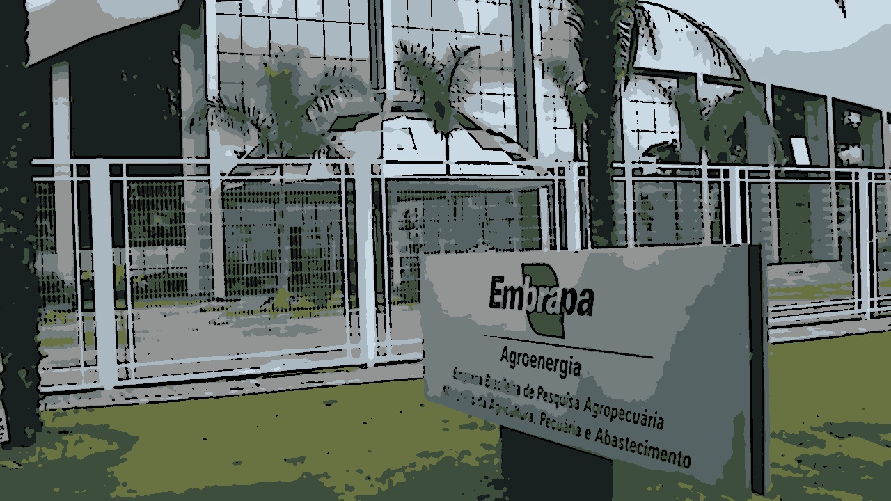 Cebraspe prorroga inscrições para o concurso da Embrapa até 14 de janeiro de 2025